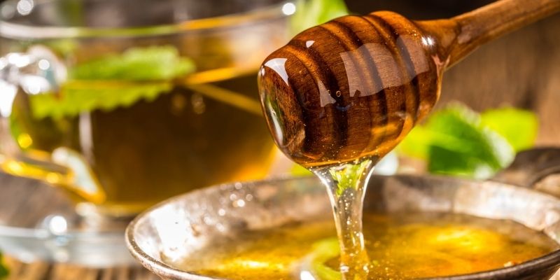 Sundarban Forest Honey